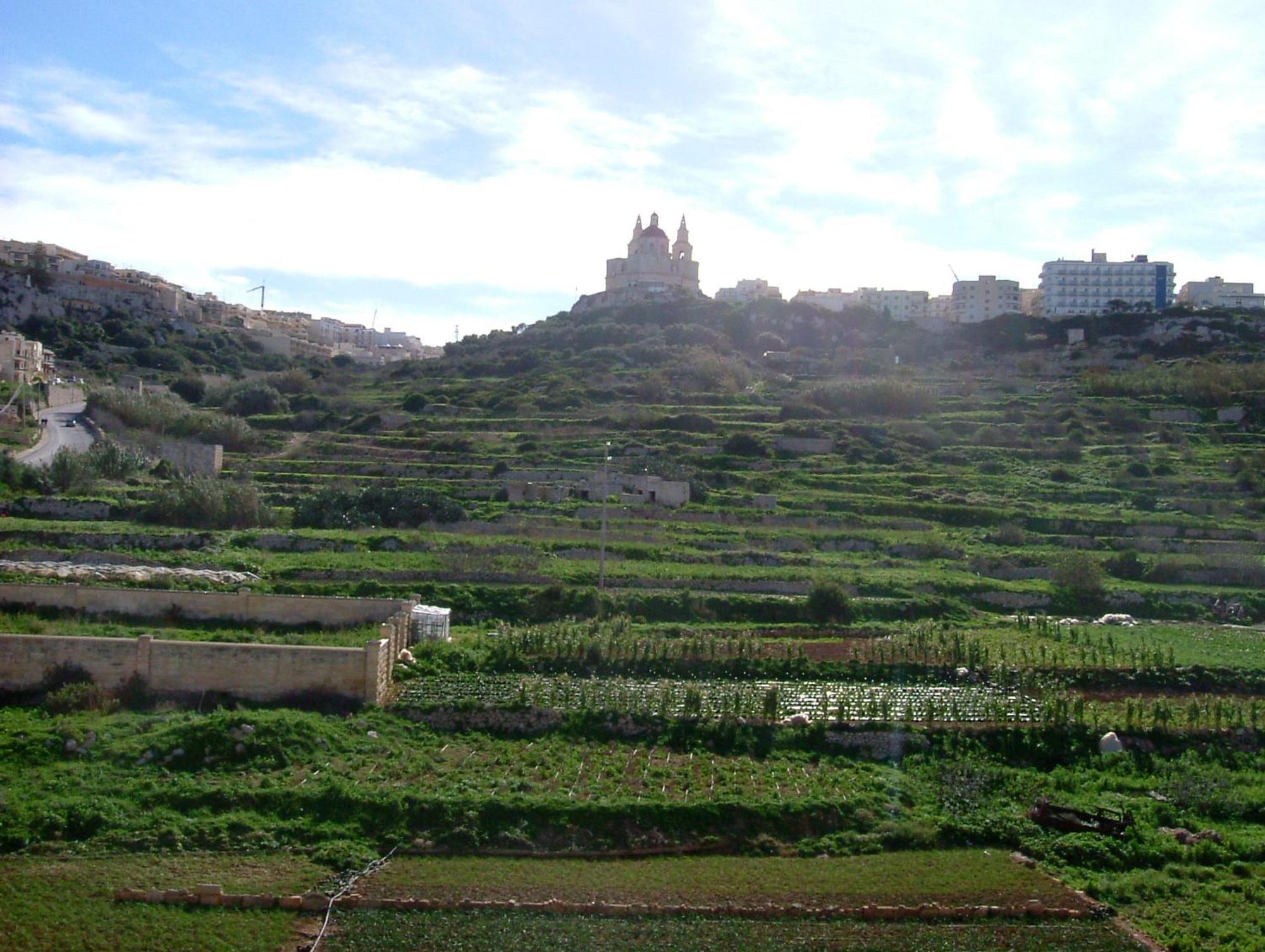 Luna Holiday Complex Mellieħa Esterno foto